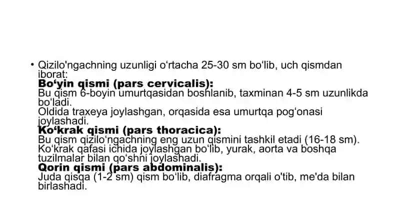 Qizilo’ngach 3