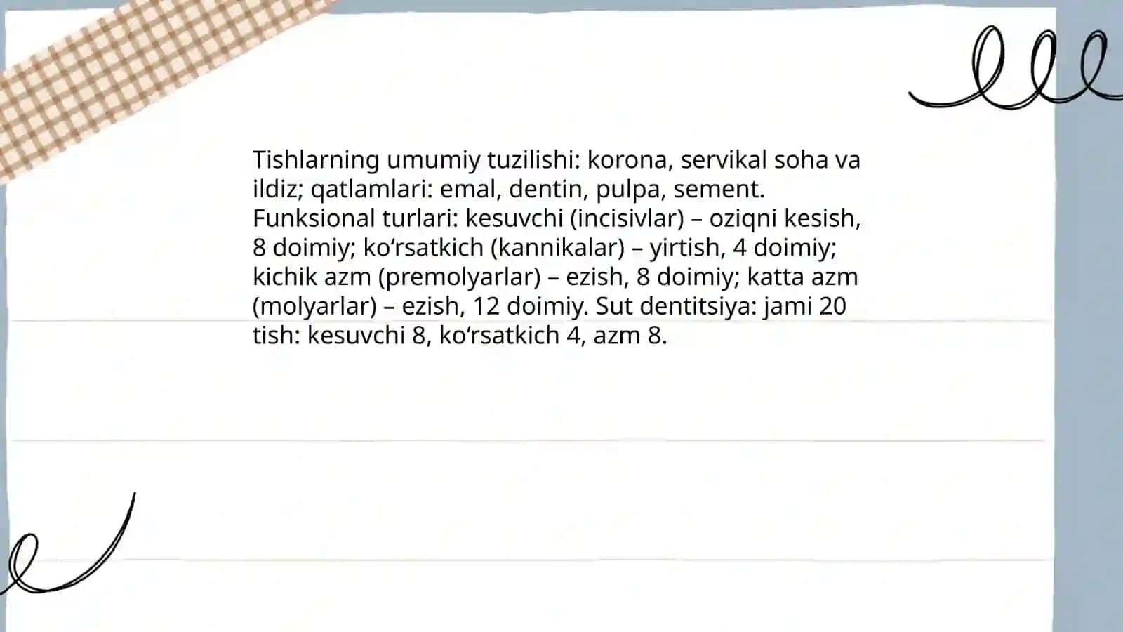 Tishlar,tish qatorlari. Sut tishlar va doimiy tishlarining chiqish mudatlari 3