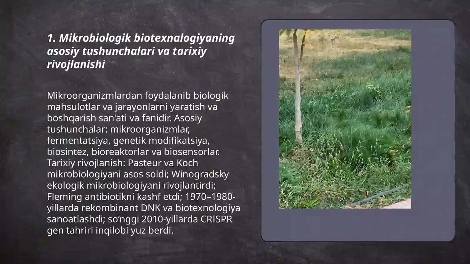 Mikrobiologik biotexnalogiya 3