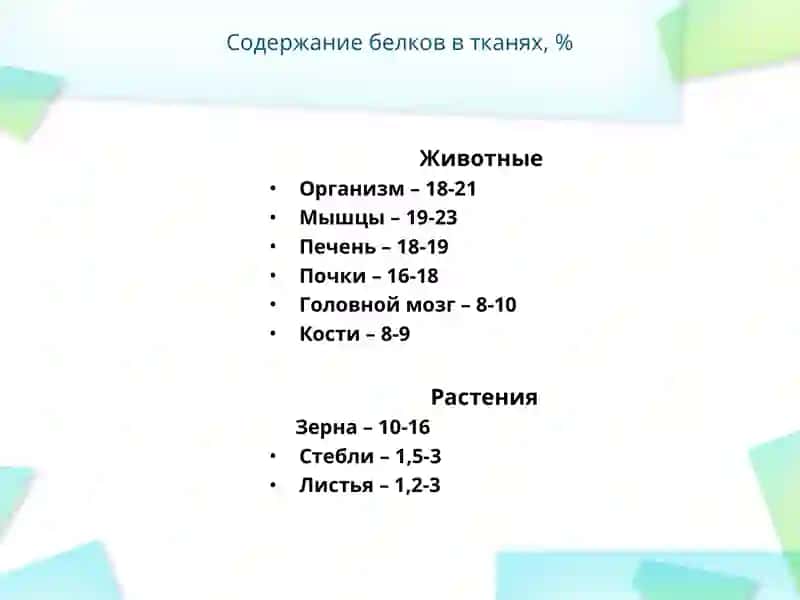 Белки 3