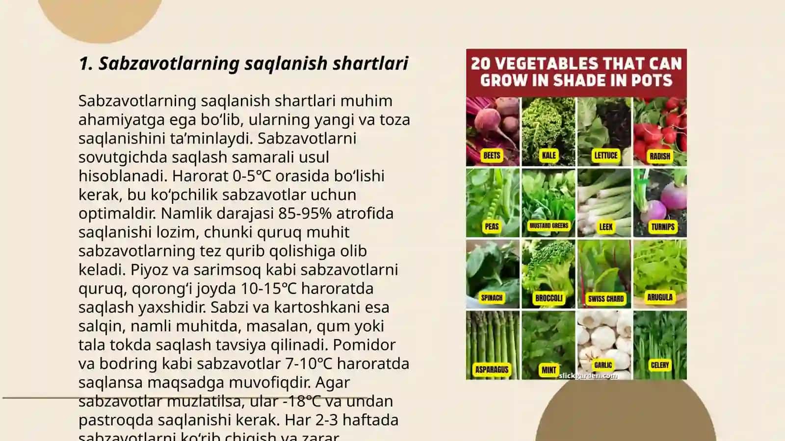 Sabzavotlarning mikrobli buzilishi 3