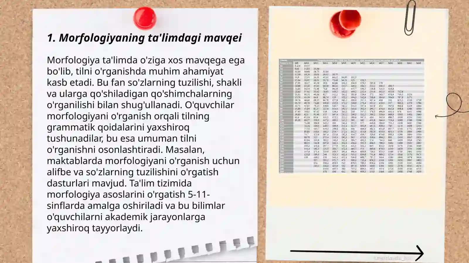 Morfologiyaning ta'limdagi mavqei 3