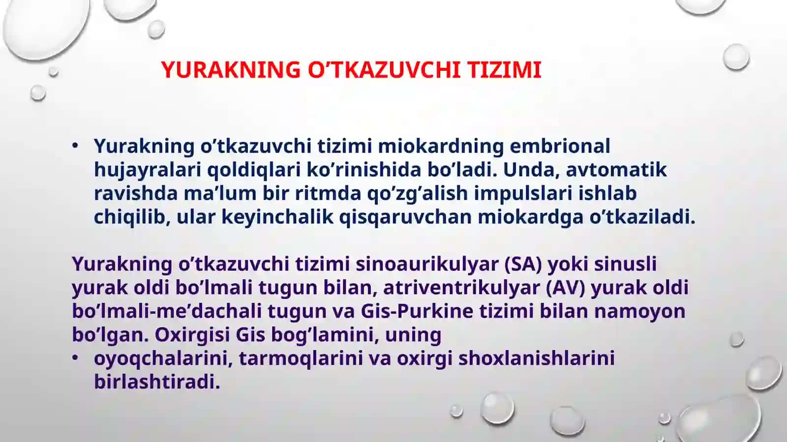 Yurakning o‘tkazuvchi tizimi hususiyatlari 3