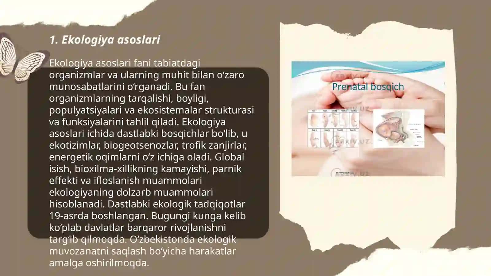 Ekologiya asoslari 3