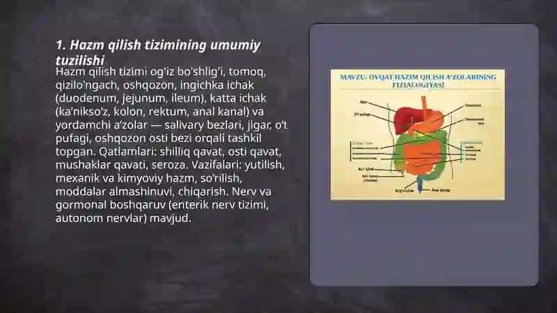 Hazm qilish sistemasi 3
