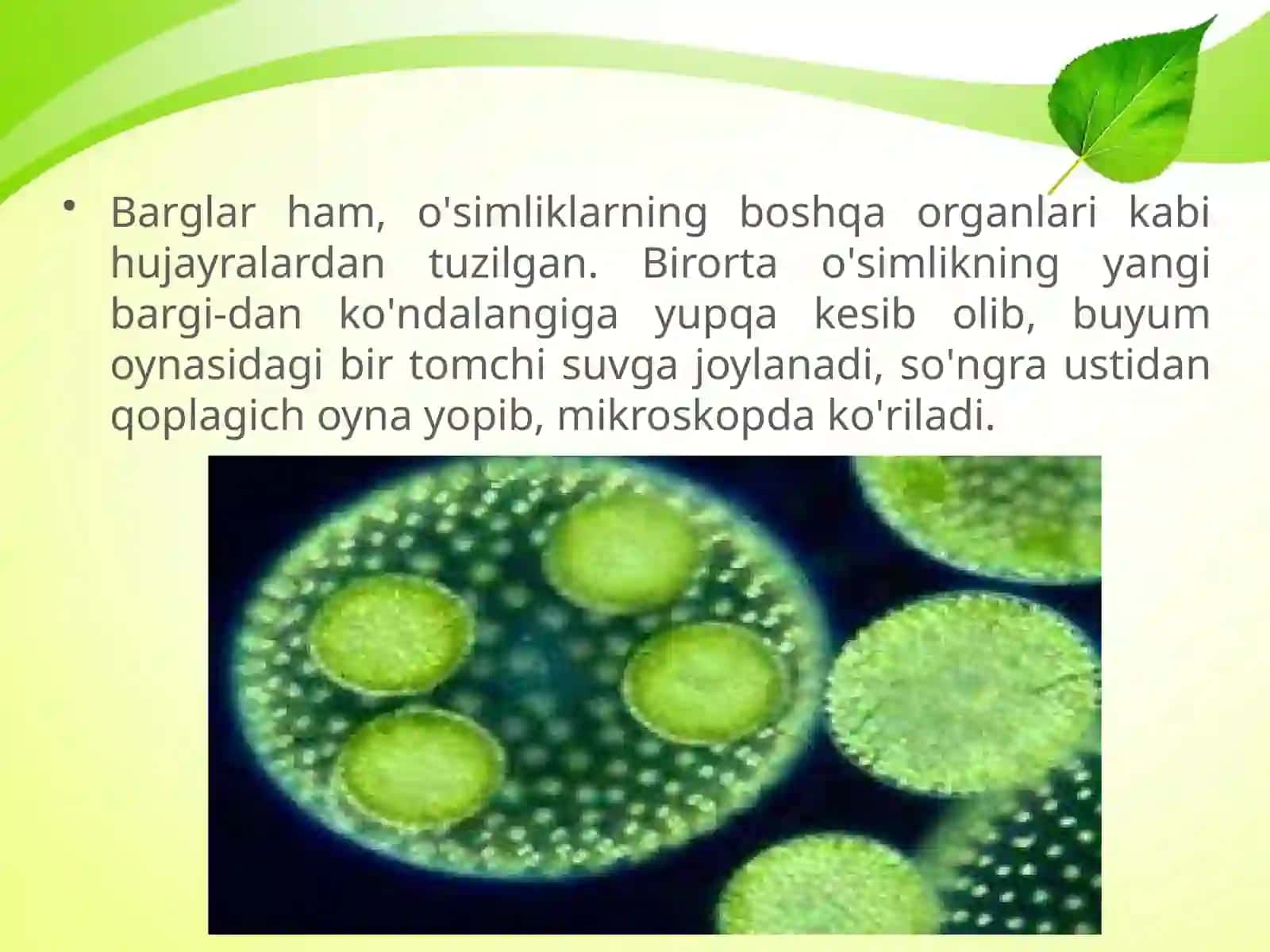 BARGLARNING ICHKI TUZILISHI 3