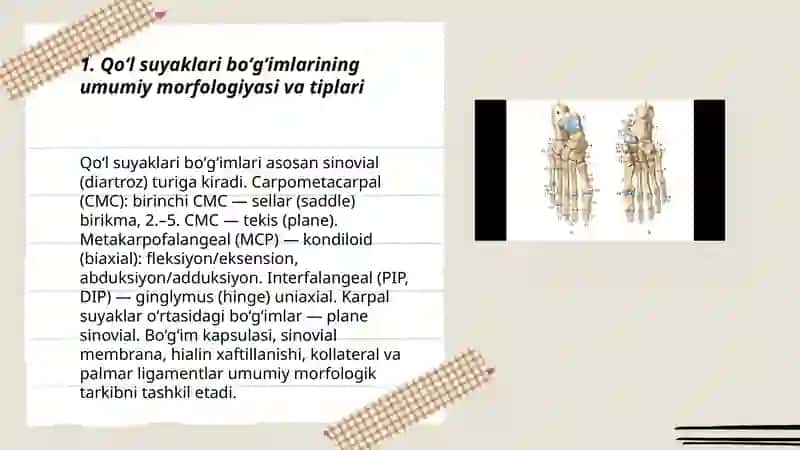 Qoʻl va oyoq suyaklari artrologiyasi 3