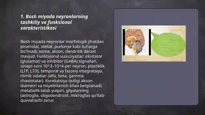 Markaziy nerv sistemasi xususiy fiziologiyasi. Bosh miya xususiy fiziologiyasi 3
