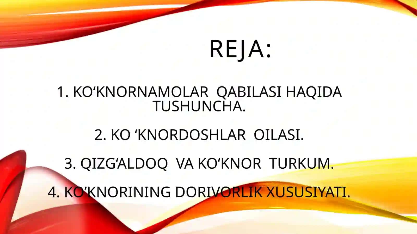 Ko‘knornamolar qabilasi 3