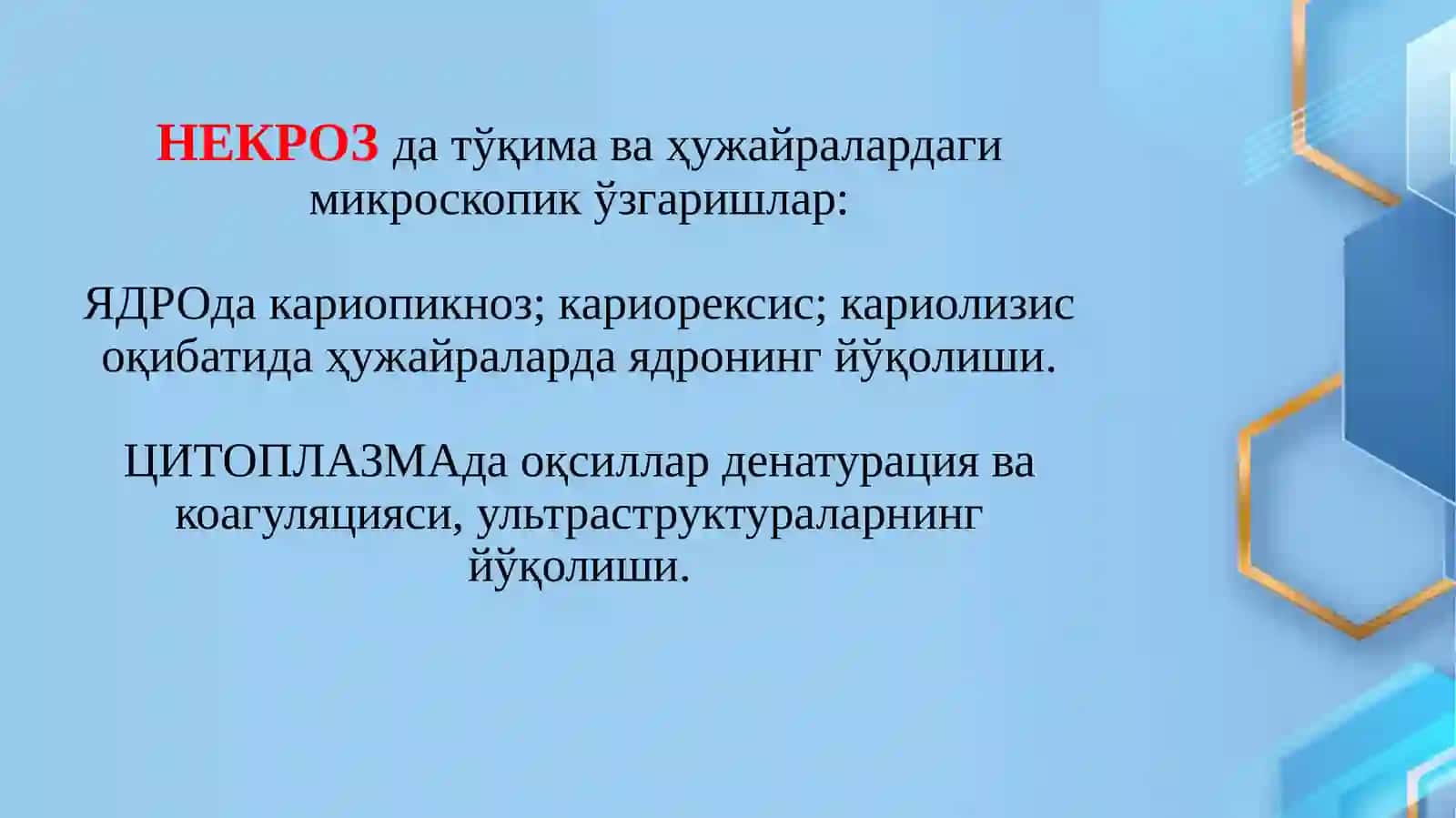 Nekroz va apoptoz 3