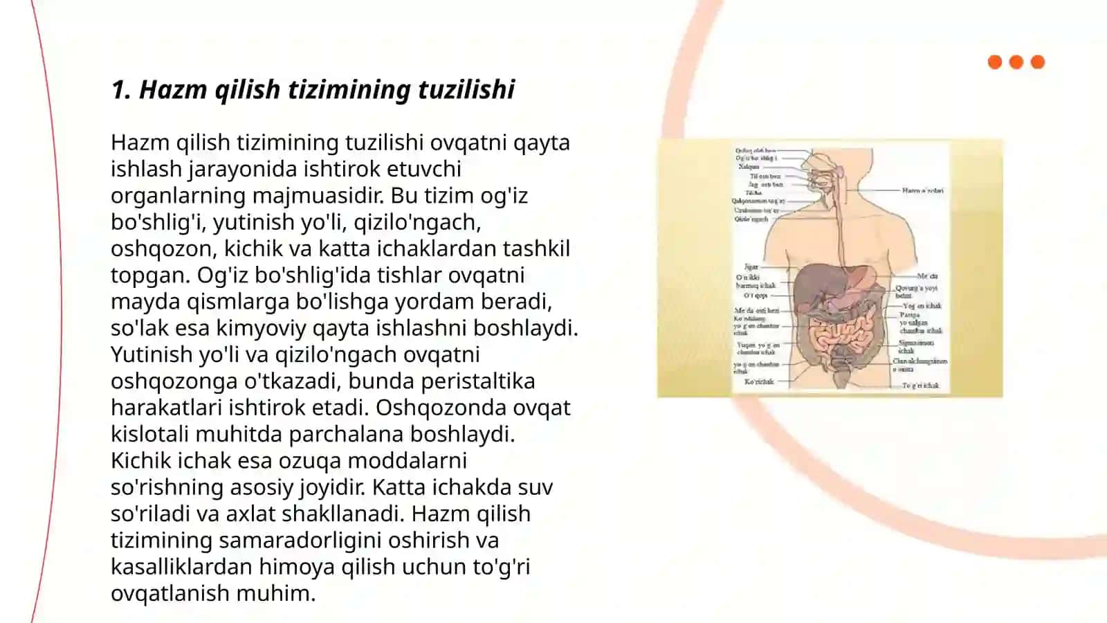 Hazm qilish sistemasi 3