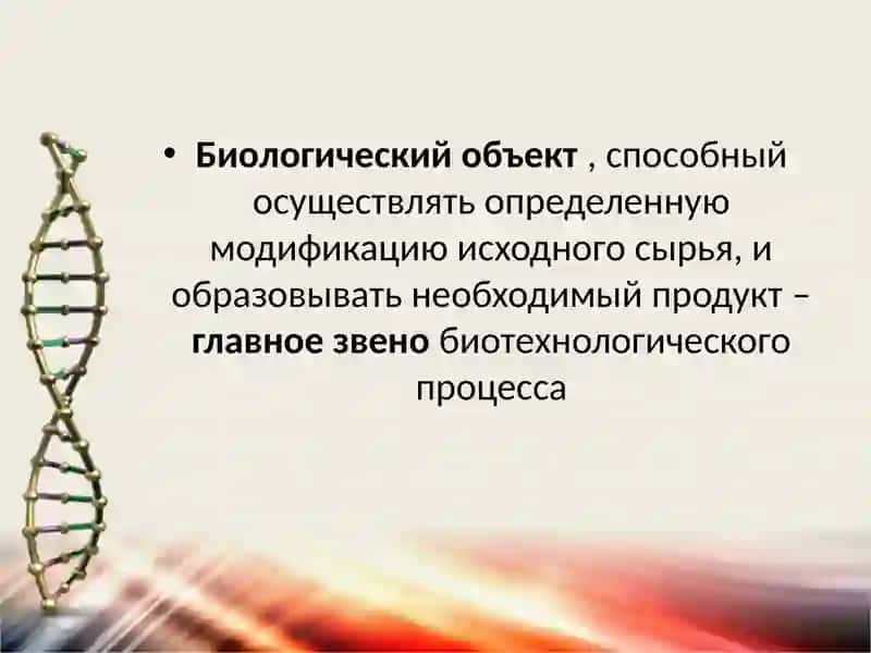 Объекты биотехнологии 3
