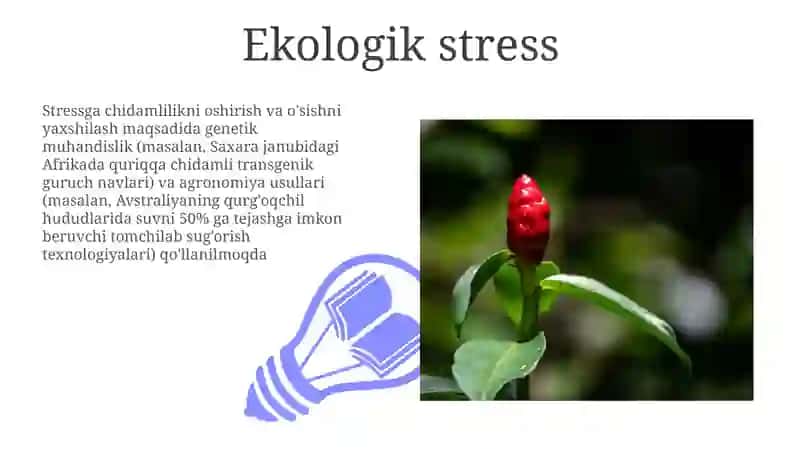 Isfarak òsimligi 3