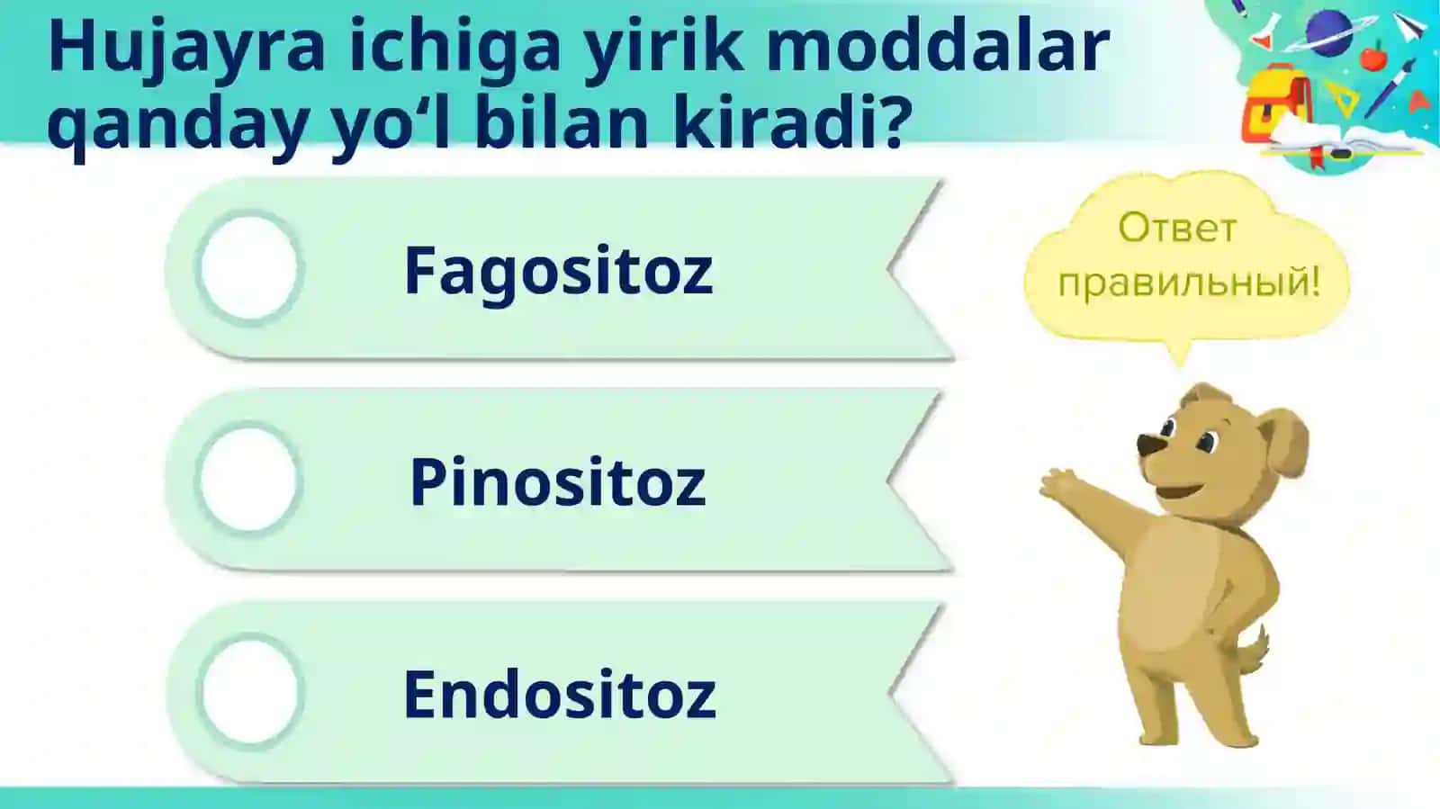 Sitoplazma 3