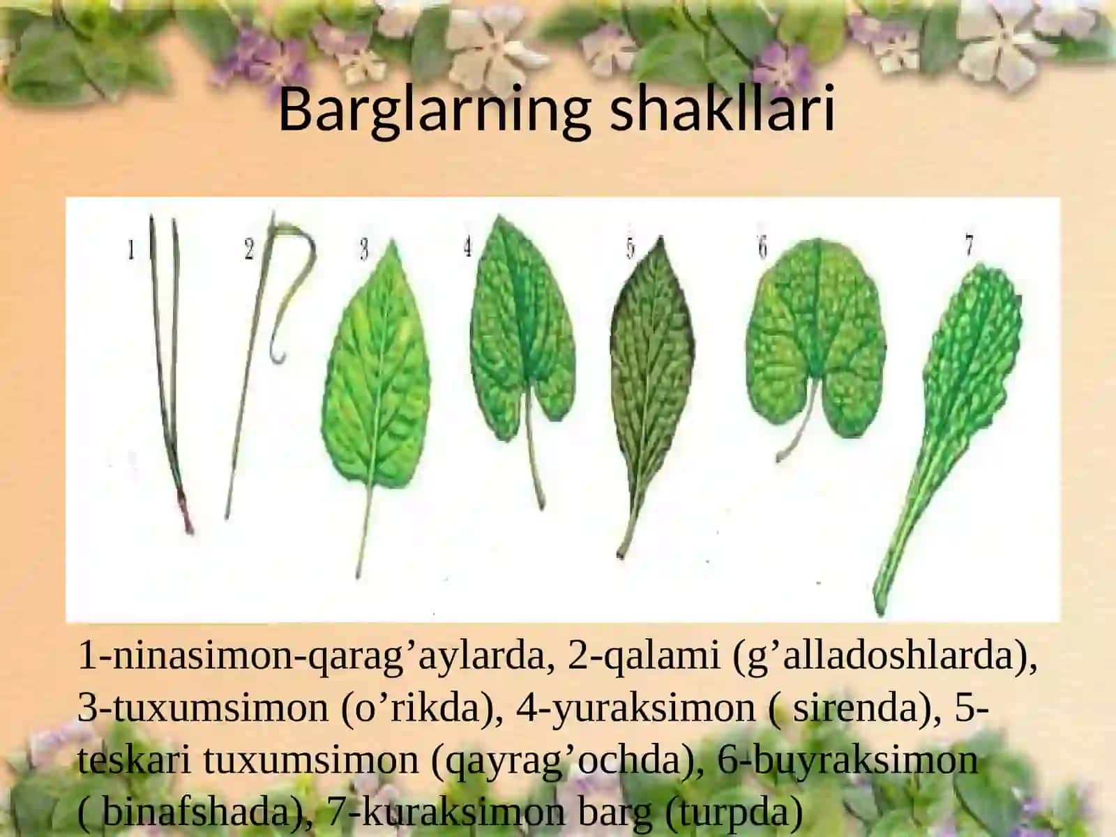 Barglar va ularning shakllari 3