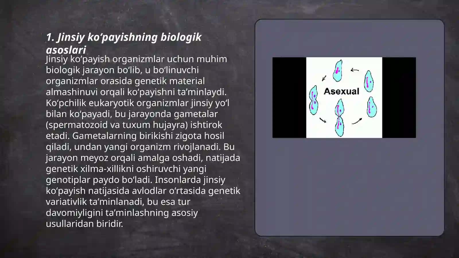 Jinsiy va jinssiz koʻpayish 3