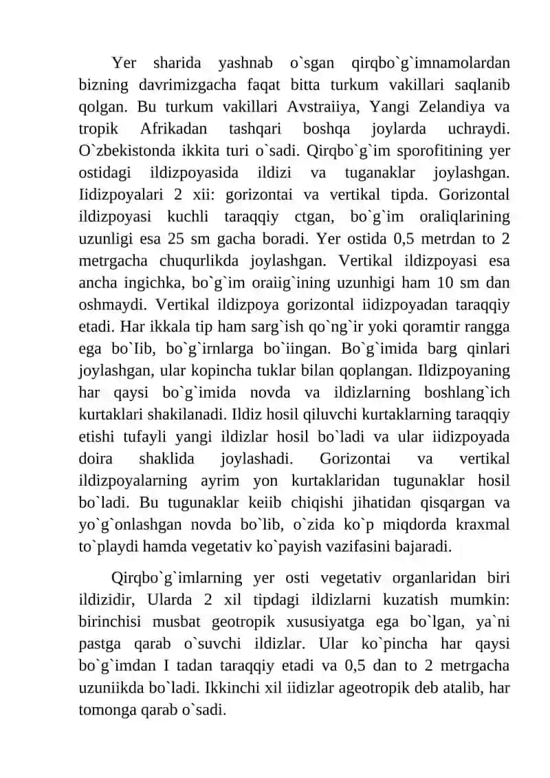 Qirqbо`g`imtoifa (Equisetophyta) bо`limi. 3