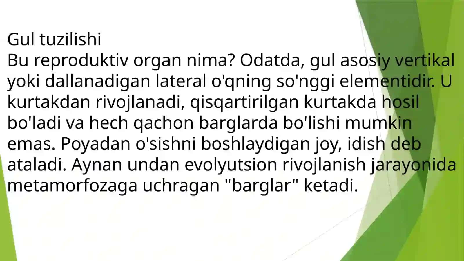 Gul tuzulishi va xillari 3