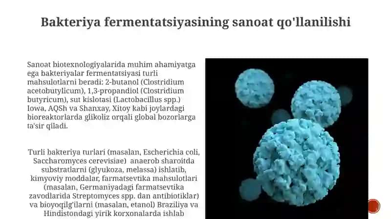Bakteriyalarda fermentativ jarayonlar 3