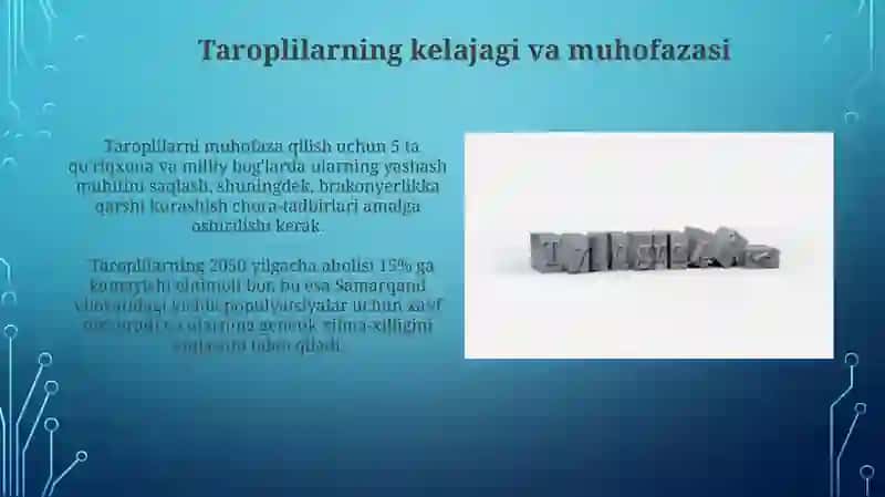 Taroplilar tipi xususiyatlari 3