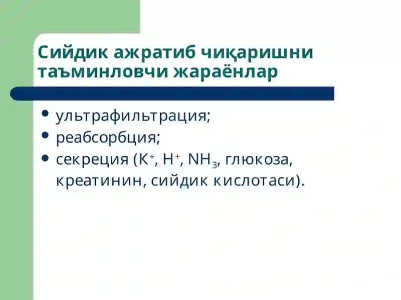 Буйраклар патофизиологияси 3