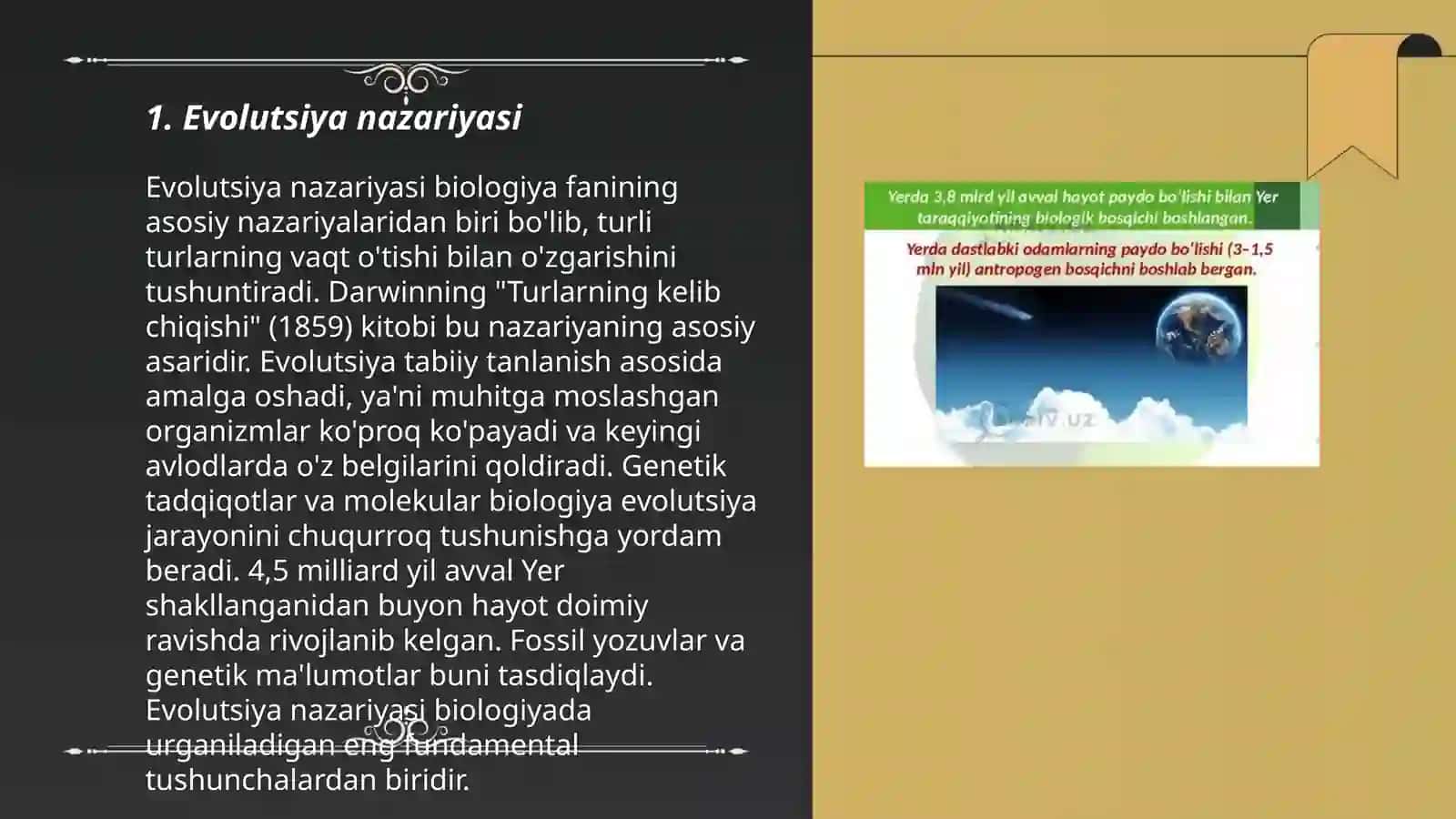 Evolutsiya nazariyasi 3