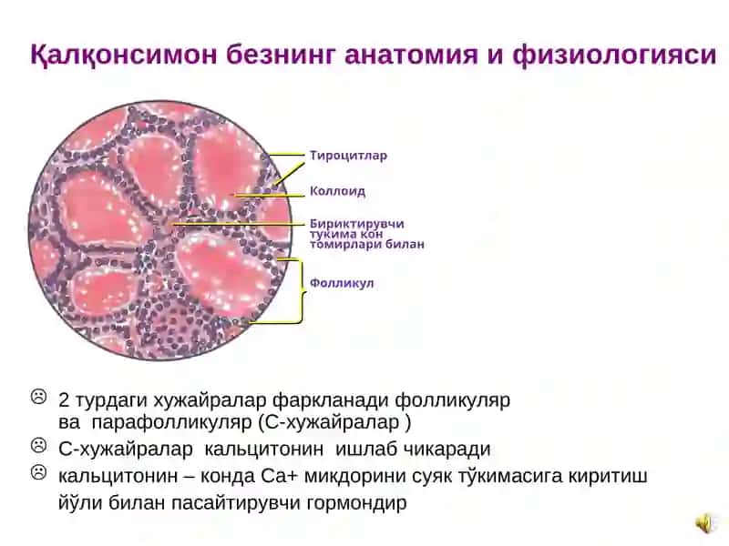 ЙОД ТАНҚИСЛИГИ КАСАЛЛИКЛАРИ 3