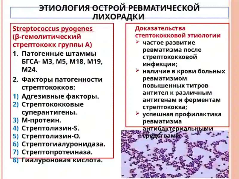 ОСТРАЯ РЕВМАТИЧЕСКАЯ ЛИХОРАДКА, ОПРЕДЕЛЕНИЕ 3