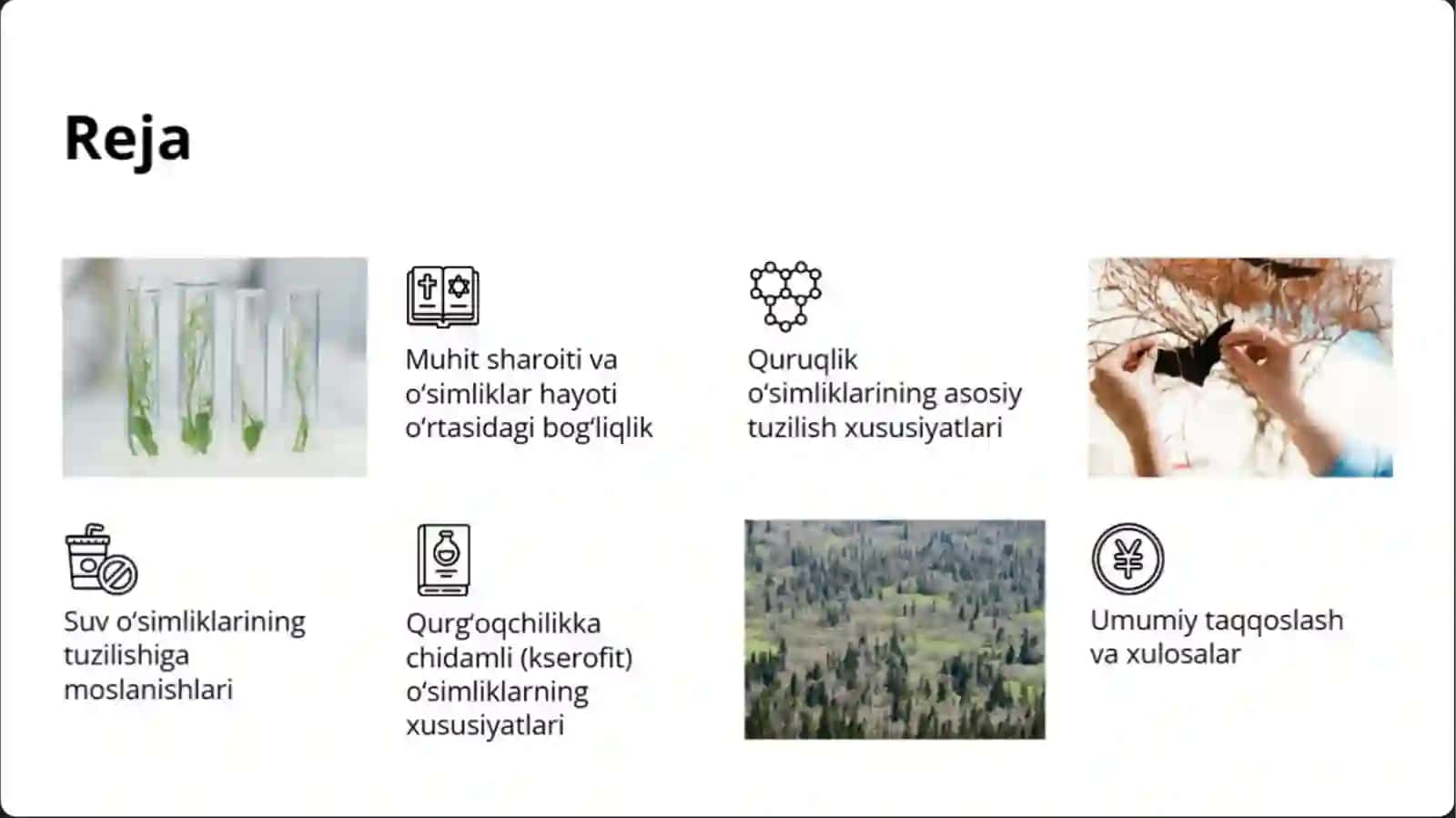 Turli muhit sharoitida o'sgan o'simliklarning tuzilishini taqqoslash 3