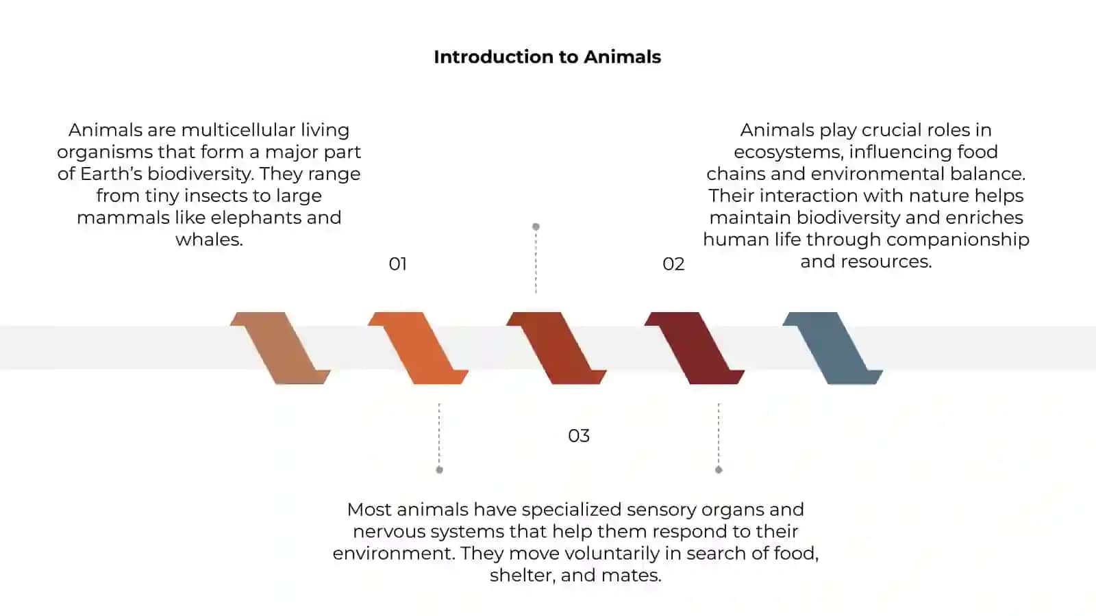 Animals 3