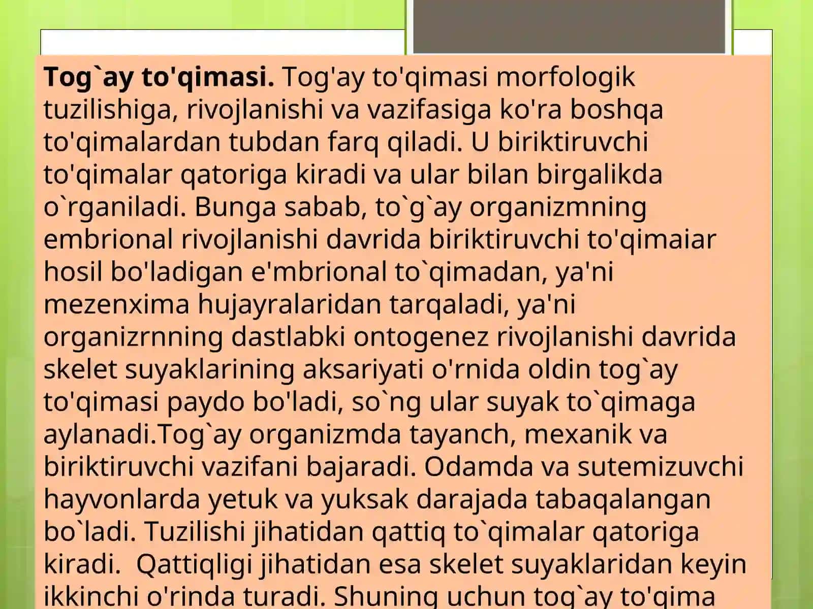 Tog’ay va suyak to’qimasi 3