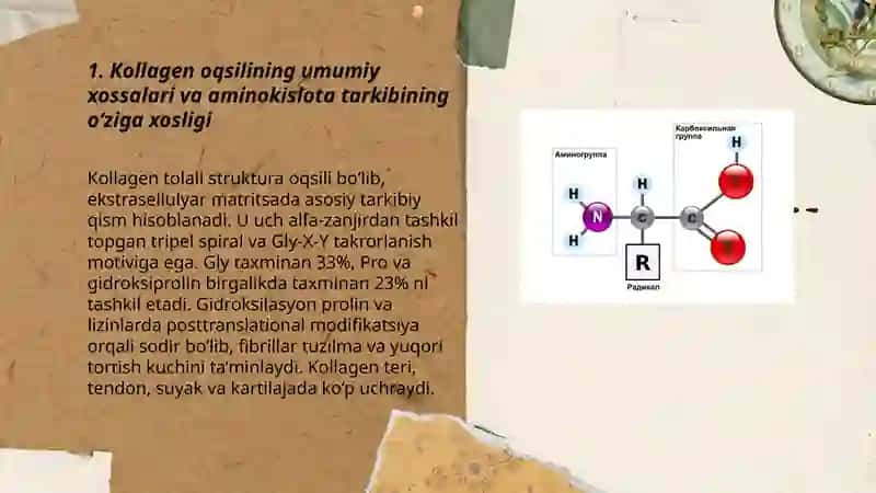 Kollagen oqsilari 3