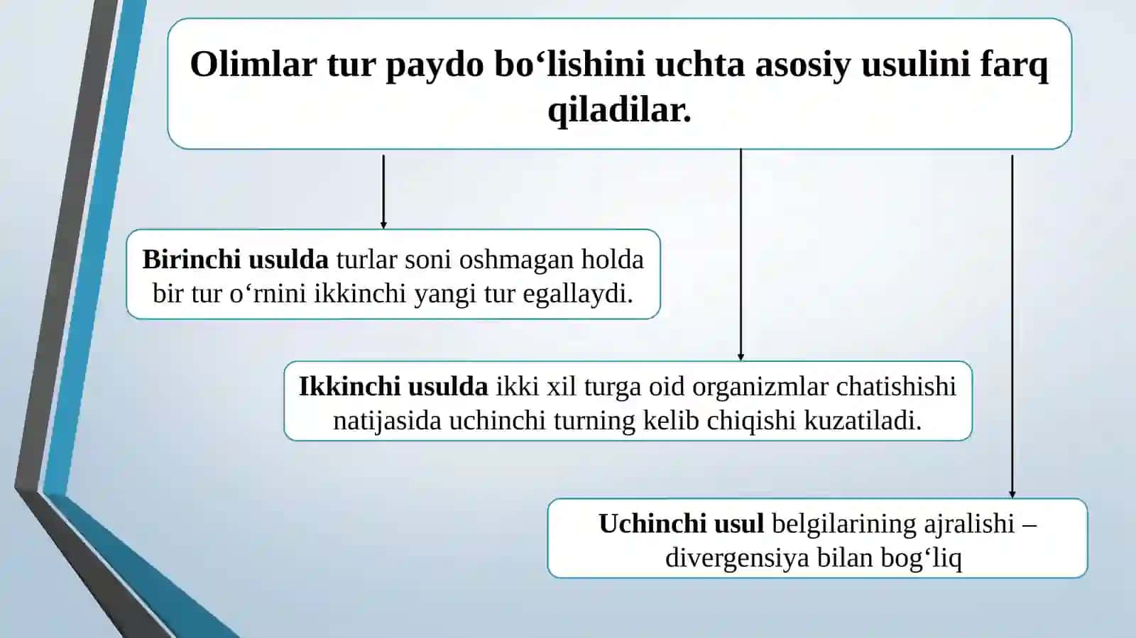Tur paydo bo‘lishi 3