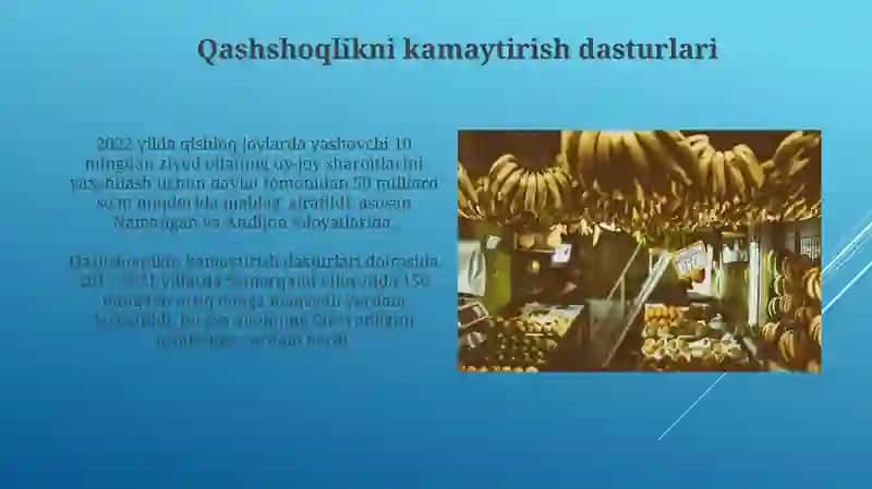 Qashshoqlikni kamaytirish dasturlari 3