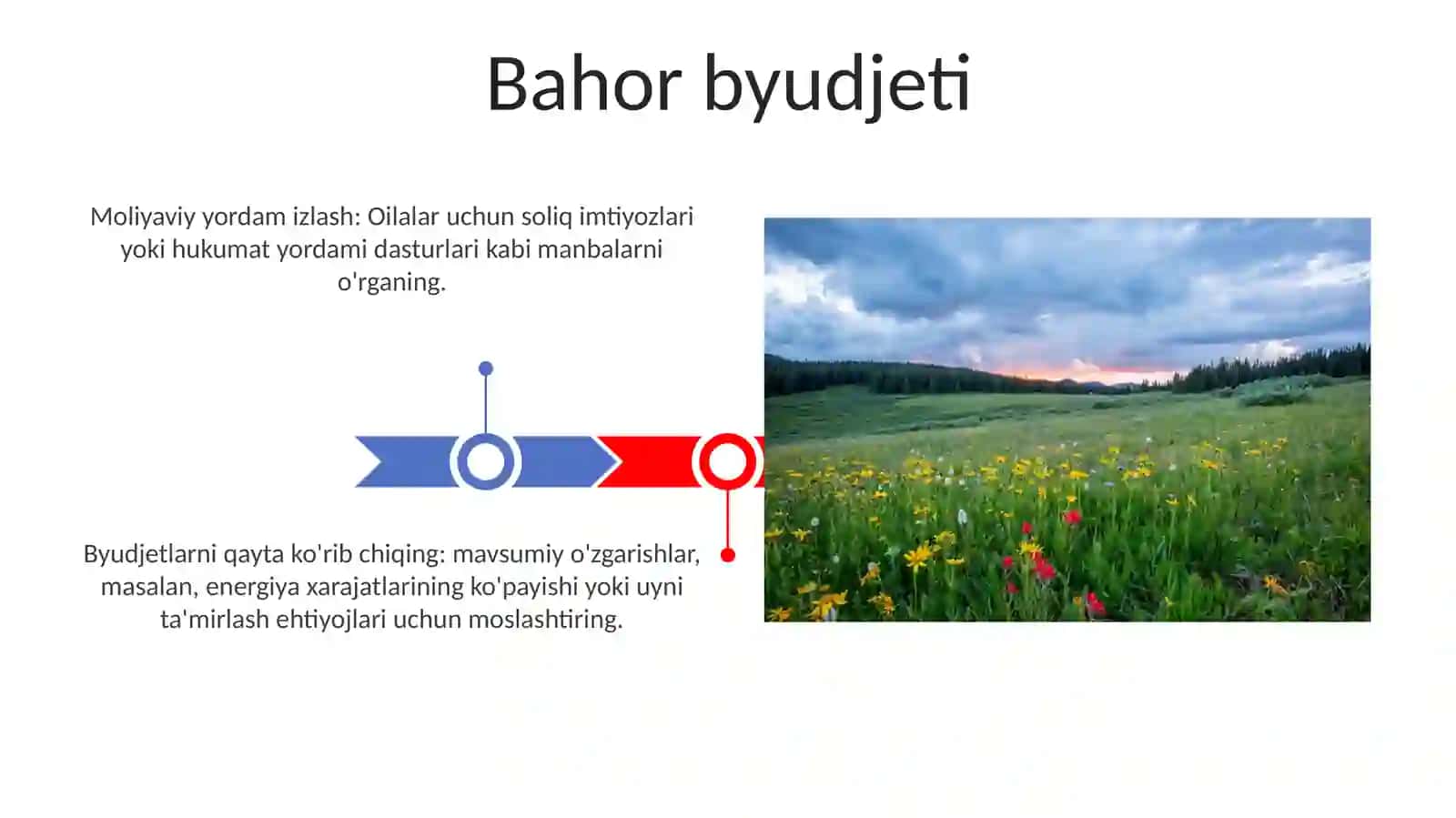 Asalari oilalarini bahor faslida parvarishlash 3