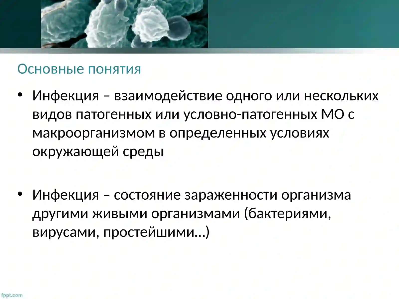Медицинская микробиология 3