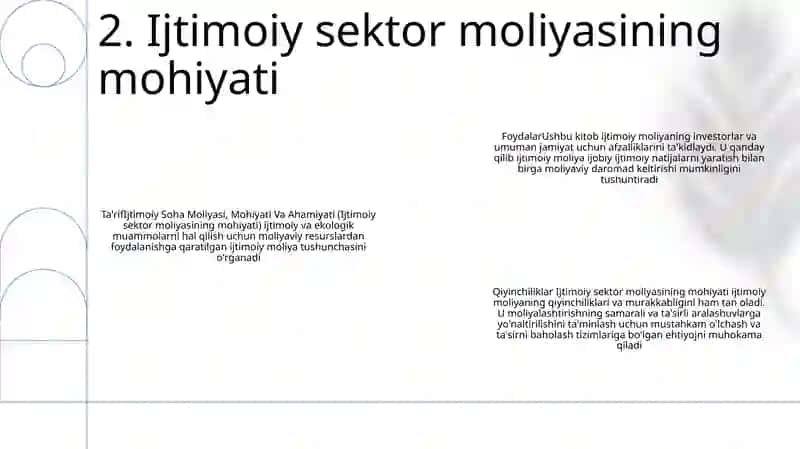 Ijtimoiy Soha Moliyasi, Mohiyati Va Ahamiyati 3