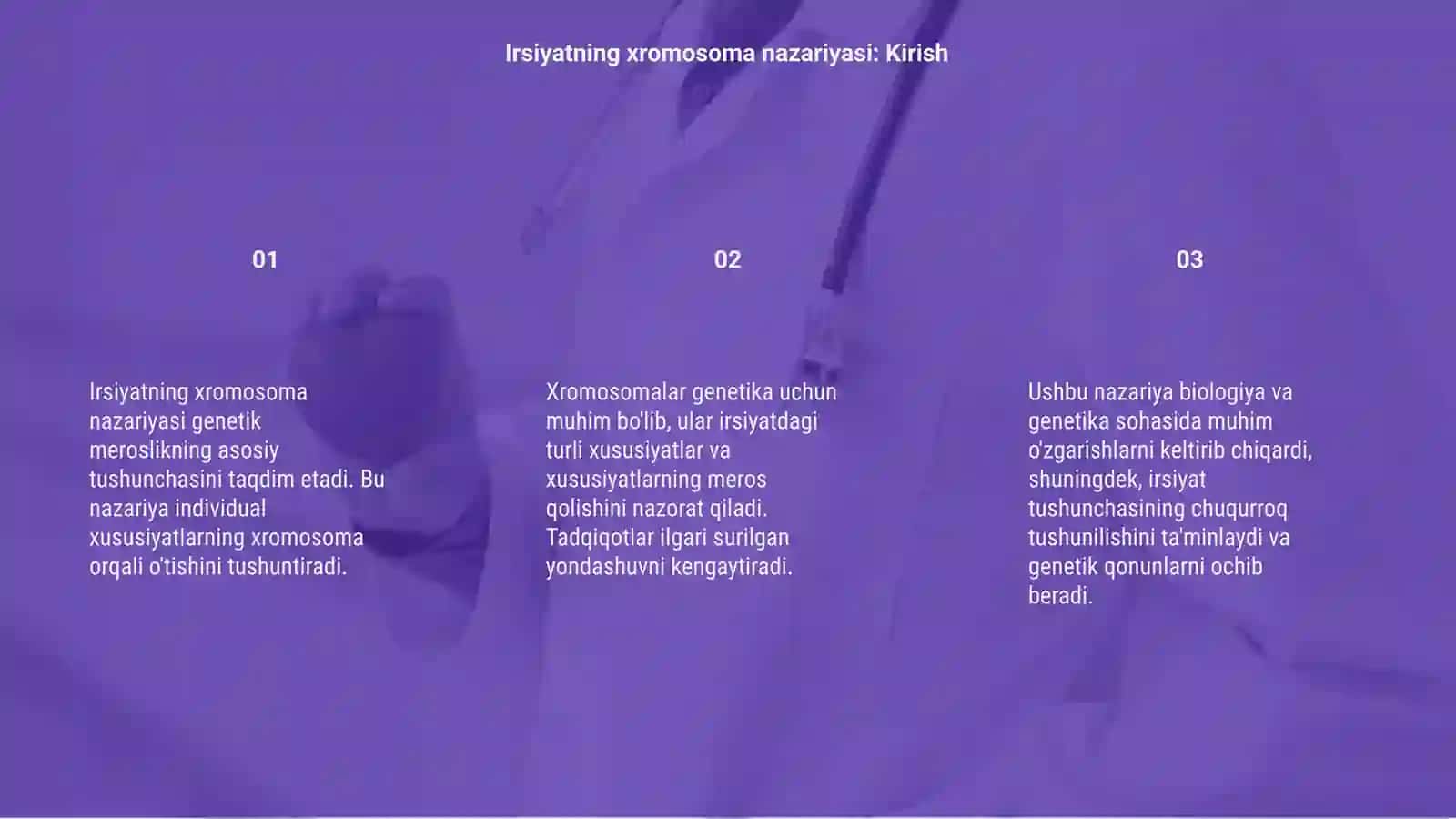 Irsiyatning xromosoma nazariyasi 3