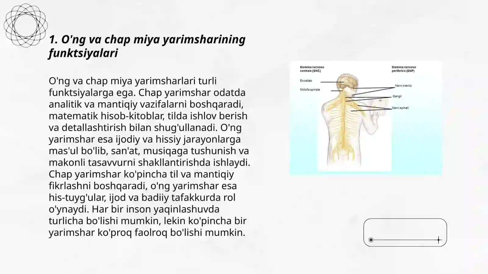 Bosh miyaning 11 nervi 3