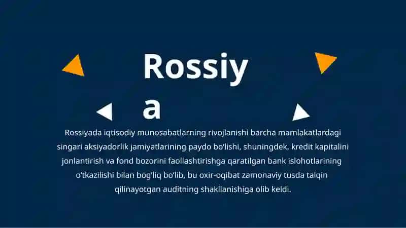 Auditorlik faoliyatini tashkil etishning Xorij tajribasi 3