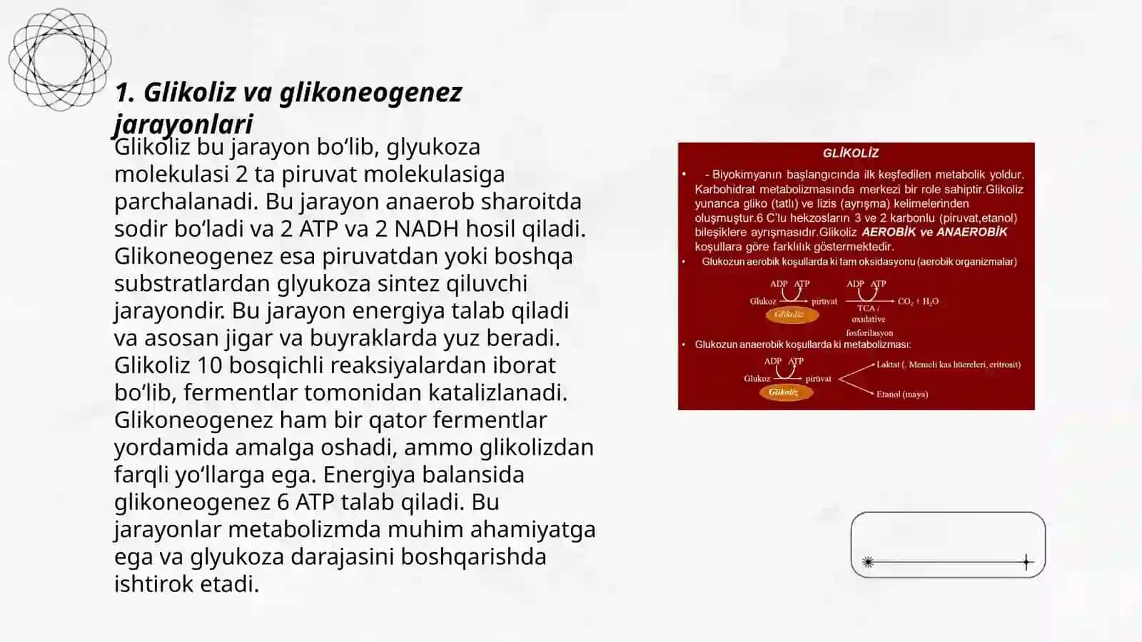 Glikoliz va Glikoneogenez 3