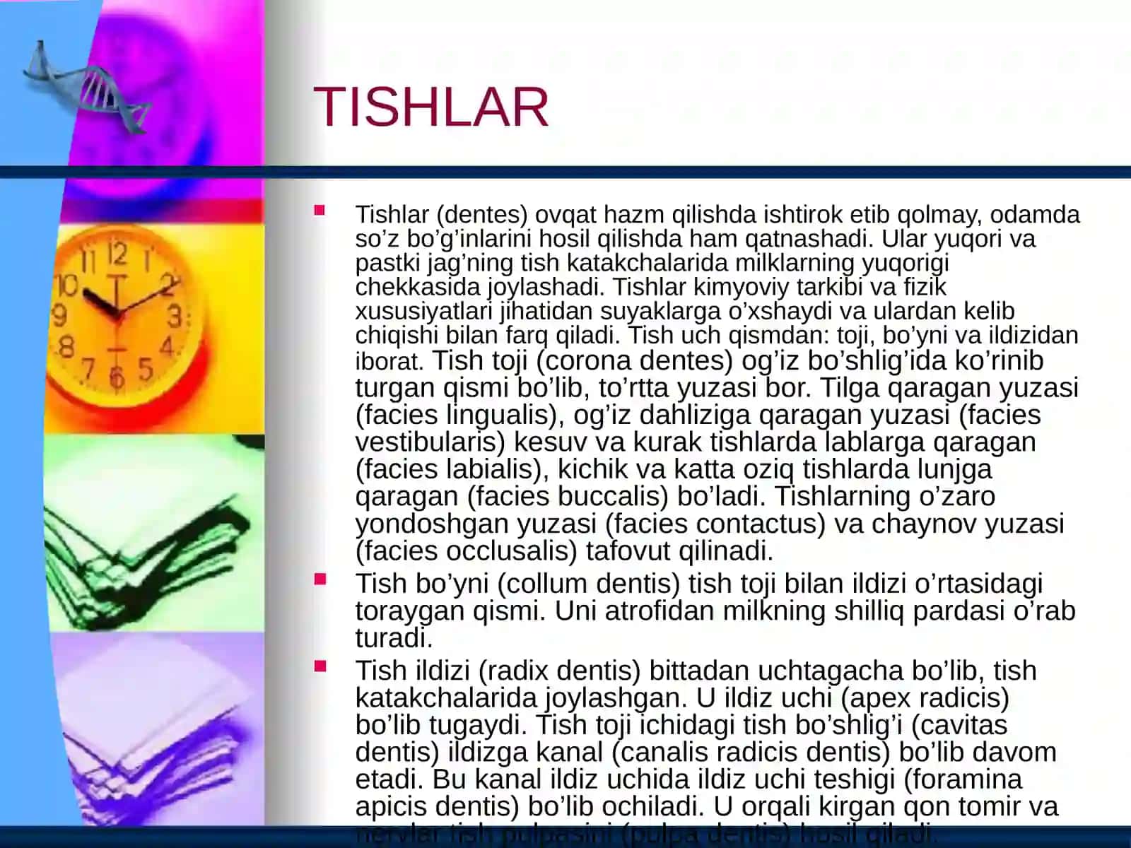 Ovqat hazm qilish 3