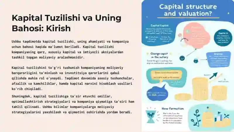 Kapital Tuzilishi va Uning Bahosi: Kirish 3