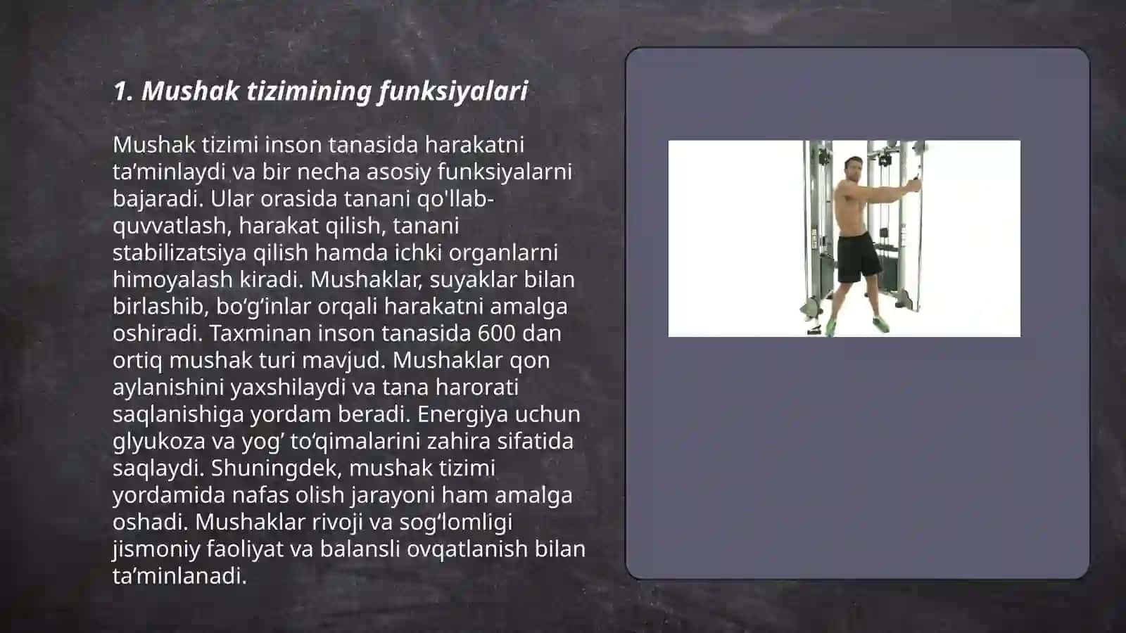 Mushak tizimi 3