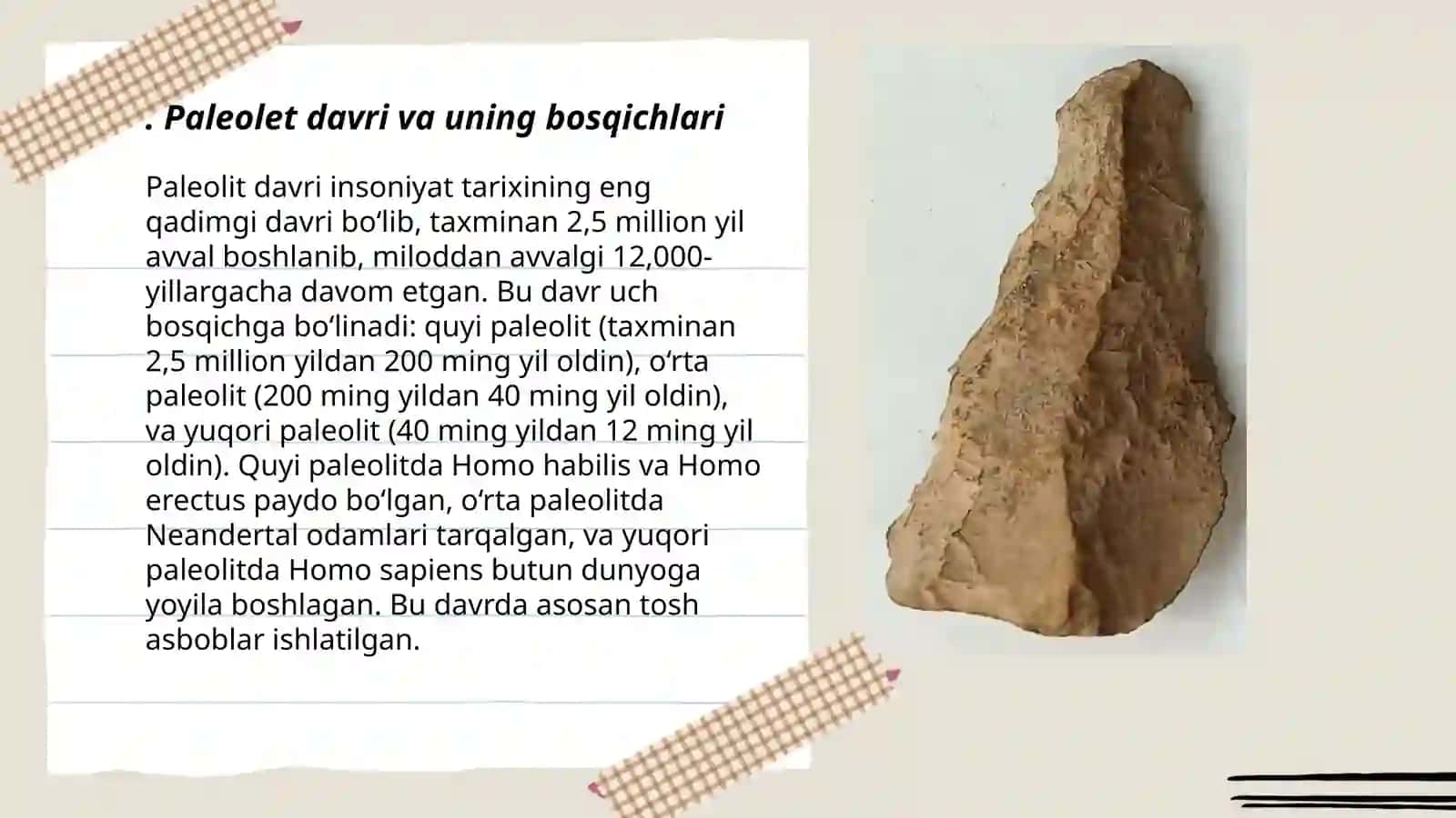 Paleolet davri va uning yodgorliklari 3