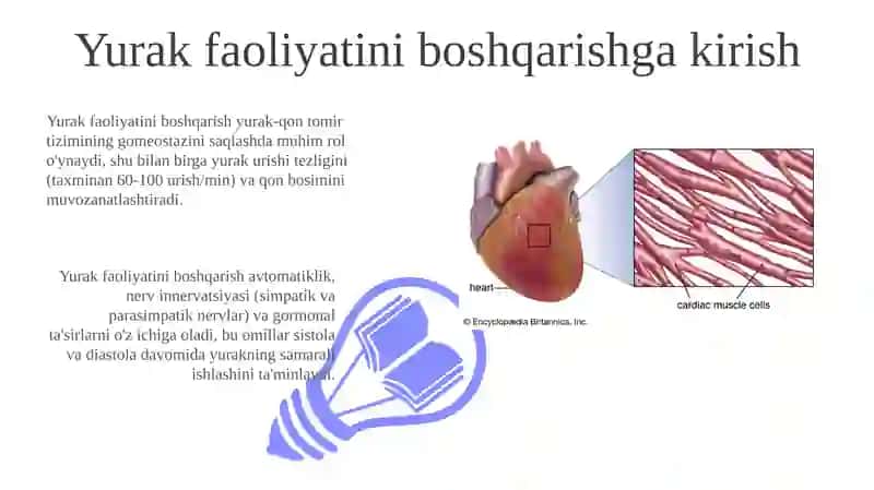 Yurak faoliyatini boshqarish 3