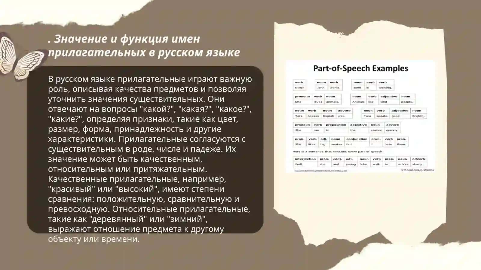 Значение и функция имен прилагательных в русском языке 3
