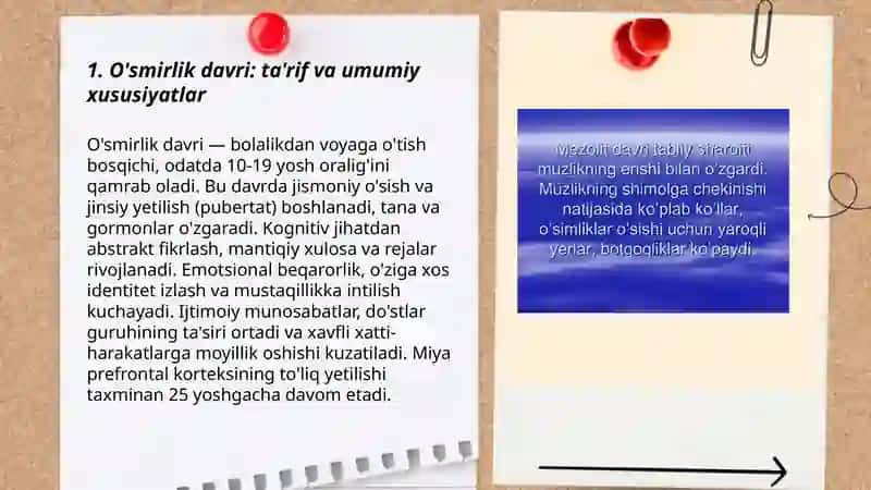 O'smirlik davri: ta'rif va umumiy xususiyatlar 3