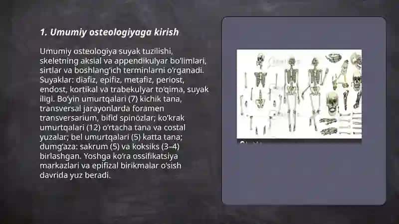 Umumiy osteologiya 3