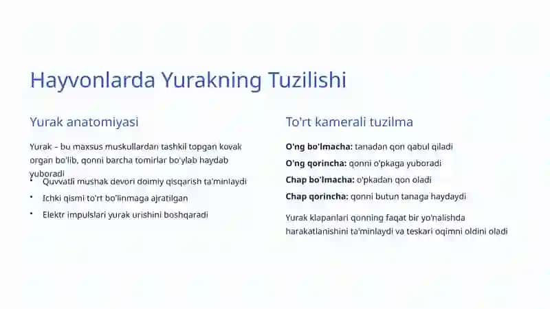 Hayvonlarda Qon Aylanish Tizimi 3